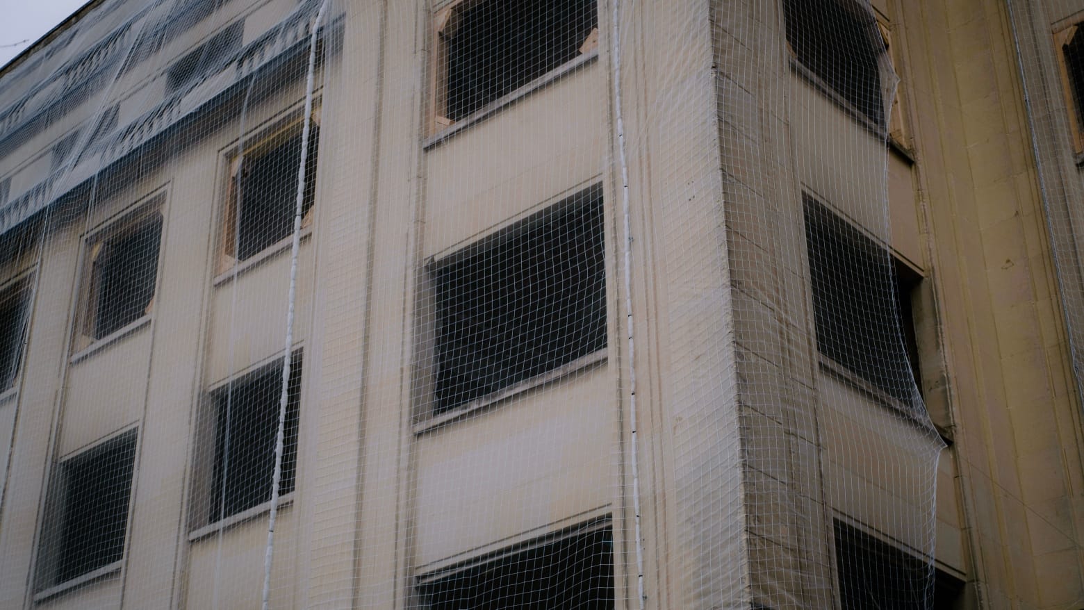 Bird net on building windows